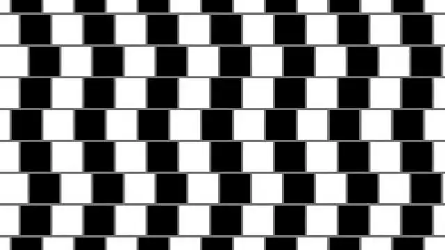 Juego de las líneas rectas - Ilusiones Ópticas